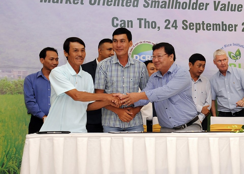 Project to improve livelihoods for 10,000 rice-farming households in Mekong Delta