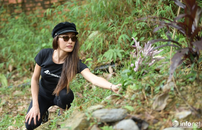 Hollywood star Maggie Q visits Vietnam Bear Rescue Centre in Tam Dao