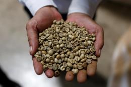 vietnam domestic coffee prices hit four month lows trading thin in indonesia