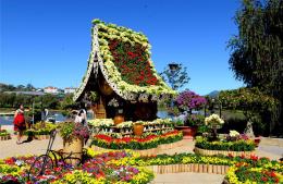 da lat flower festival to run on december 20 24