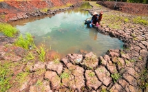 mekong delta takes measures to reduce saltwater intrusion