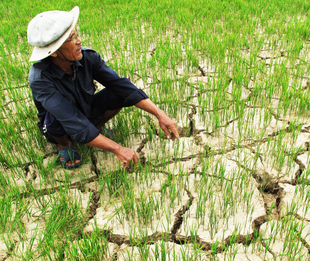 Vietnam: Response to drought and saltwater intrusion