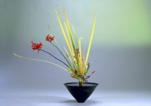 Japanese Ikebana arts: Beyond the arrangement of flowers