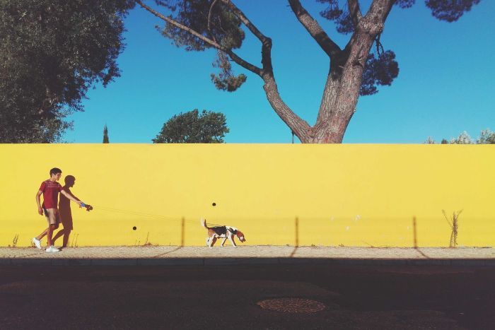 Man walking a dog on a leash against a bright yellow wall.