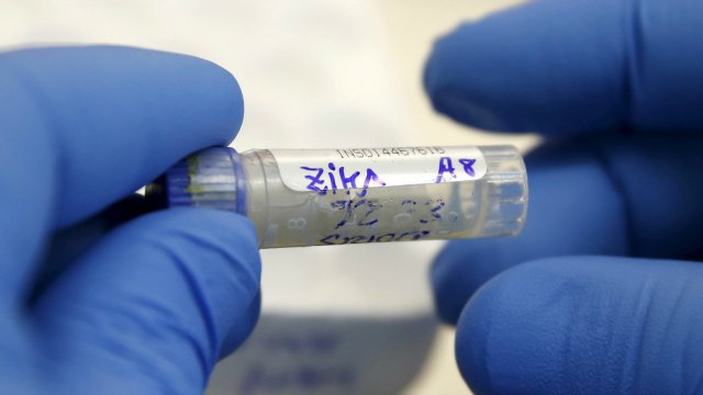 malaysia confirms its eighth zika virus case