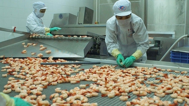 vietnams seafood sector looks to long term growth