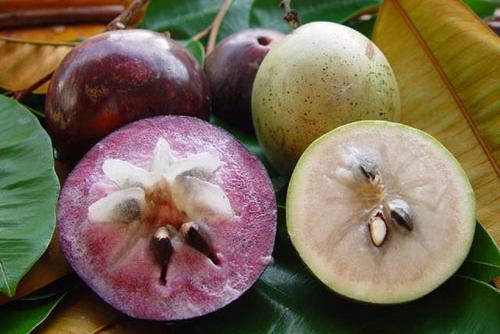 first batch of vietnamese star apple exported to the us