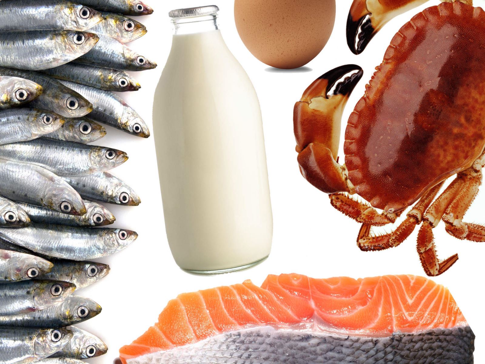 15 foods that are high in vitamin b12