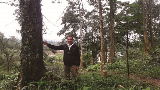 Man spends years to grow forest