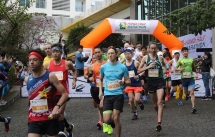 run for tigers draw over 750 runners