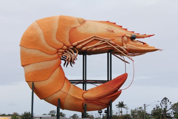 The Big Prawn at Ballina as it is now with a tail.