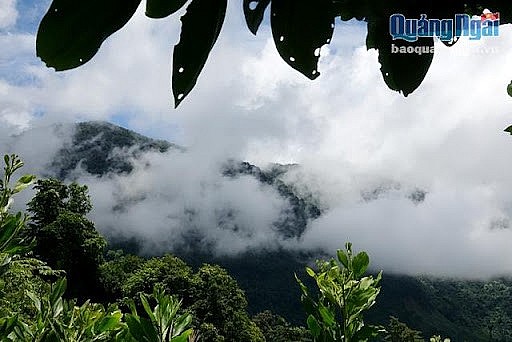 Ca Dam Mountain landscape. Photo: baoquangngai.vn