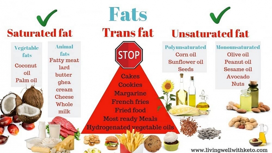 a single meal containing high saturated fat cancause your focus to dwindle study finds