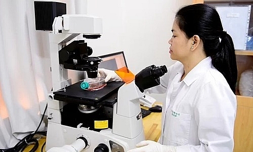 vietnam ranks top 10 asia pacific in high quality published researches by nature index